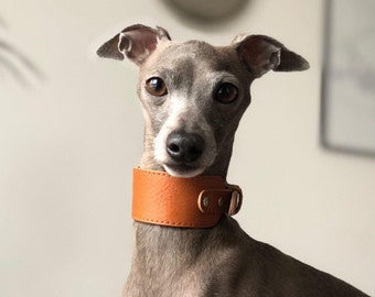 Leather greyhound collar, caramel | Wide sighthound collar | Collar for long neck dog