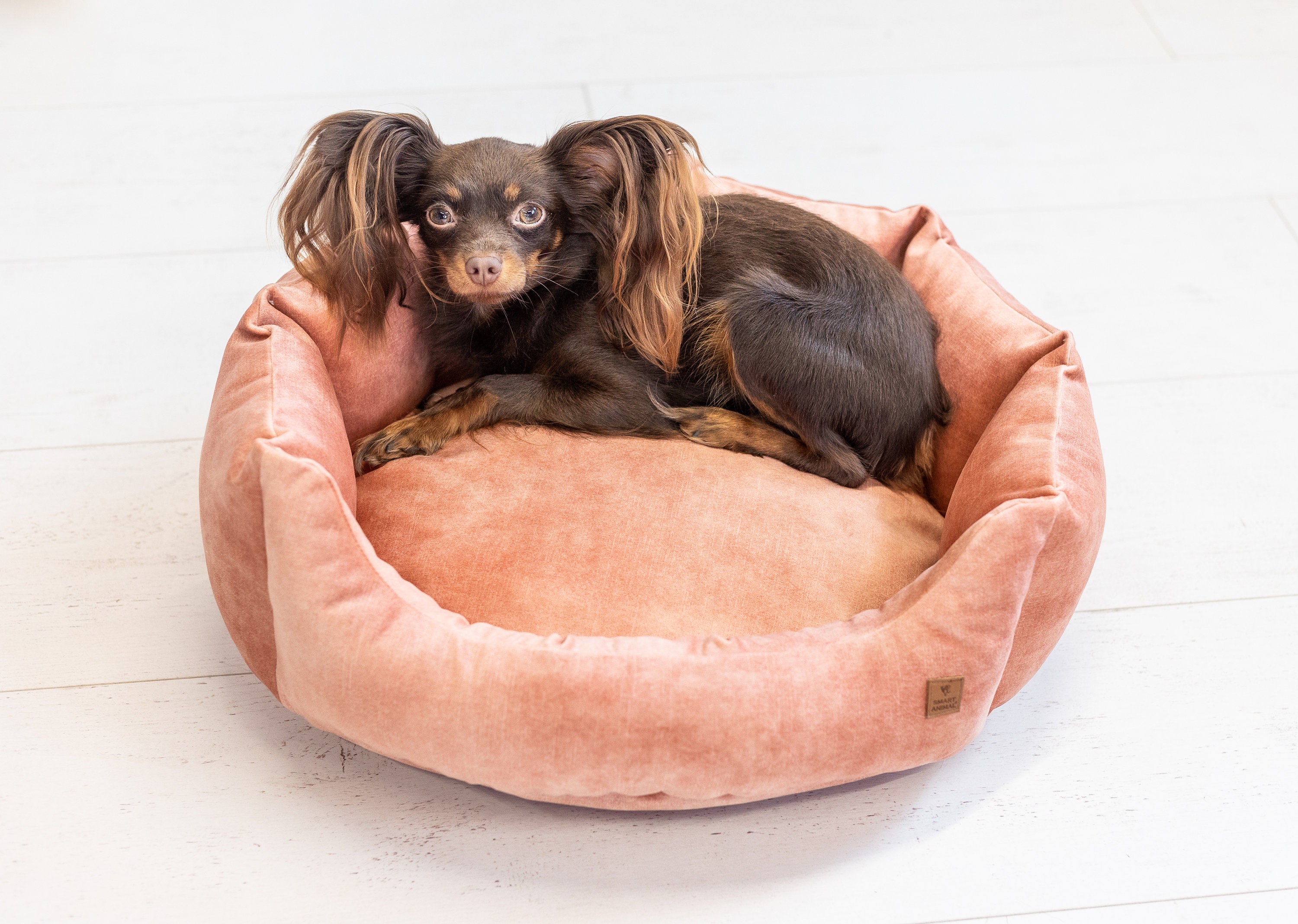 lit rond pour animaux de compagnie avec bords surélevés/chaise longue luxe petits chiens, chiots et chatons velvet cat & dog ed