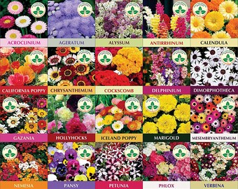 Mix Multi Varieties Indian Organic Beautiful and Good Smel and Multicolor Flower  Seed Free Shipping - Etsy Israel