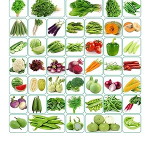 45 Varieties - 2580+ vegetables Seeds  ( Free Shipping)
