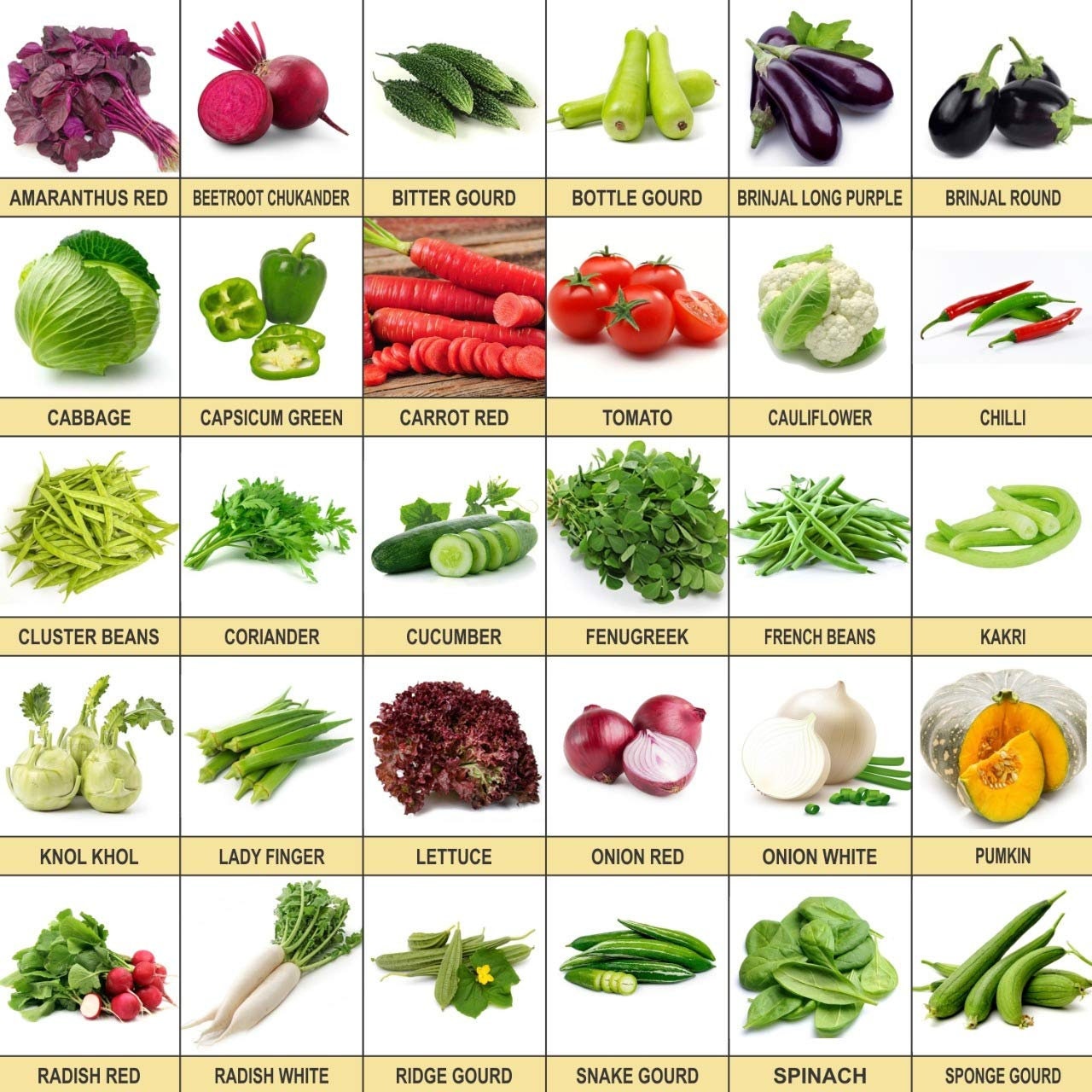 Mixed Indian Natural Organic Vegetable Seeds and Fruit Seed for Terrace