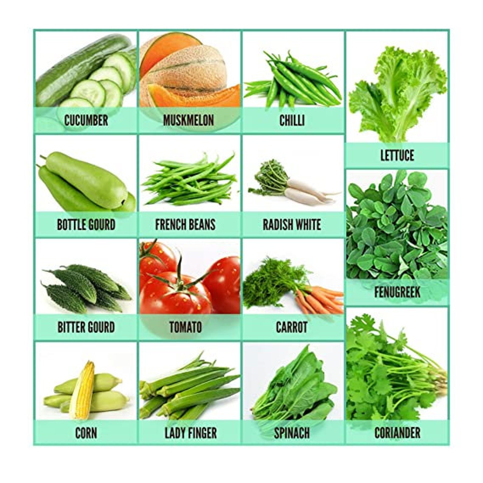 Mixed Indian Natural Organic Vegetable SeedsFruit Seed And Etsy