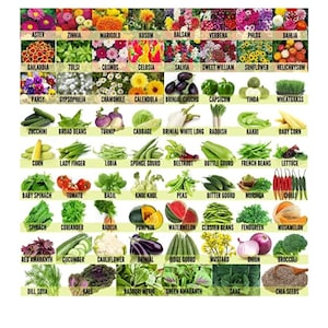 70 variety Flowers, Herbs vegetables & Fruits seeds combo 5200+seeds (free shipping)
