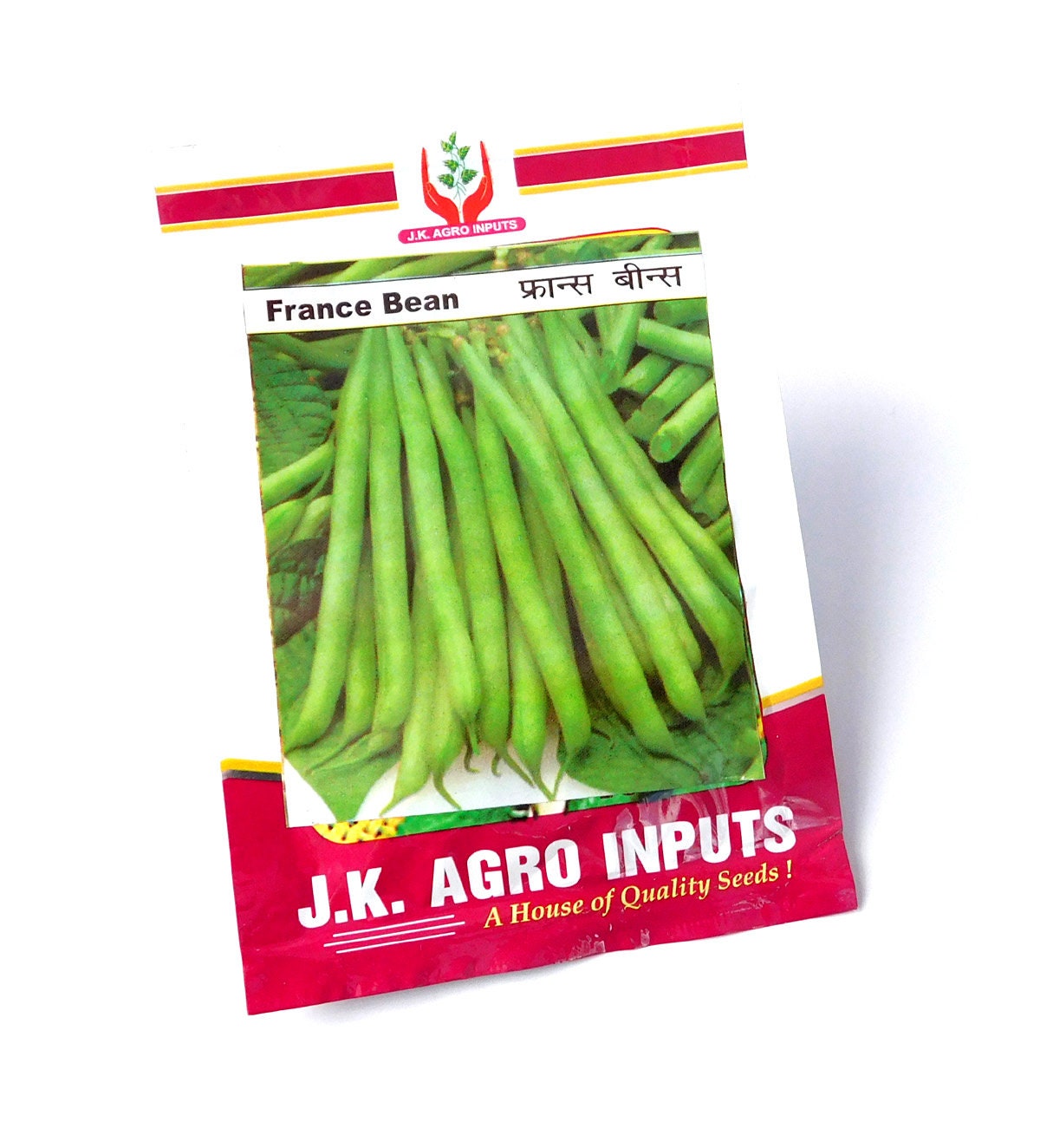 100 Natural Organic 100 Seeds Vegetable Seeds For Home Etsy