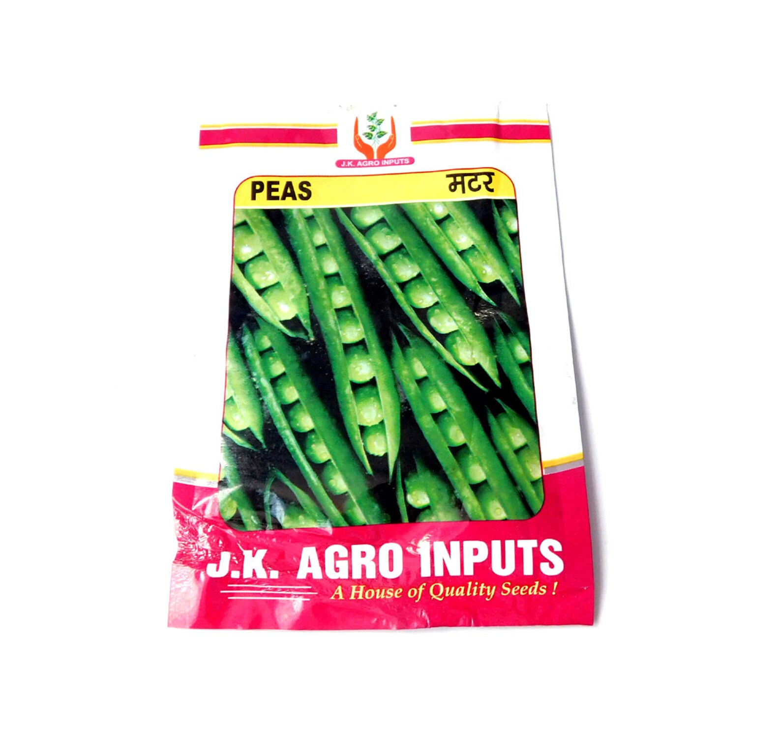 100 Natural Organic 100 Seeds Vegetable Seeds For Home Etsy