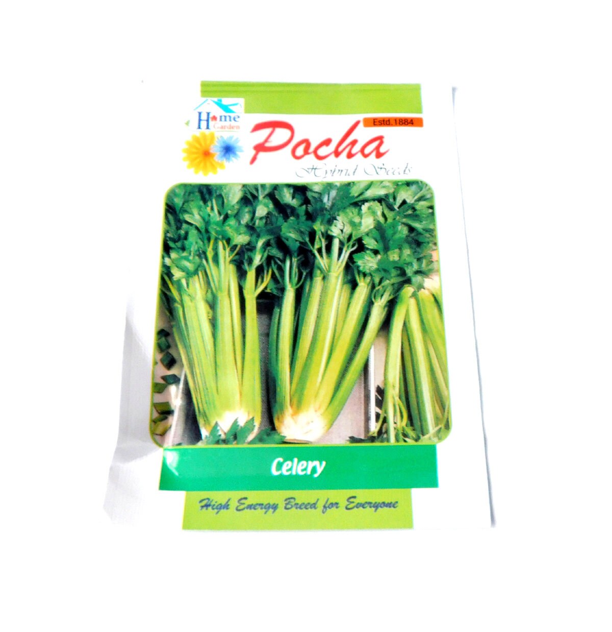 100 Natural Organic 100 Seeds Vegetable Seeds For Home Etsy