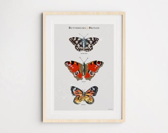 Butterflies of Britain Trio Art Print (3), Butterfly Art Poster