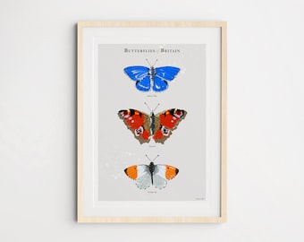 Butterflies of Britain Trio Art Print (1), Butterfly Art Poster