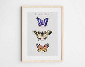 Butterflies of Britain Trio Art Print (2), Butterfly Art Poster