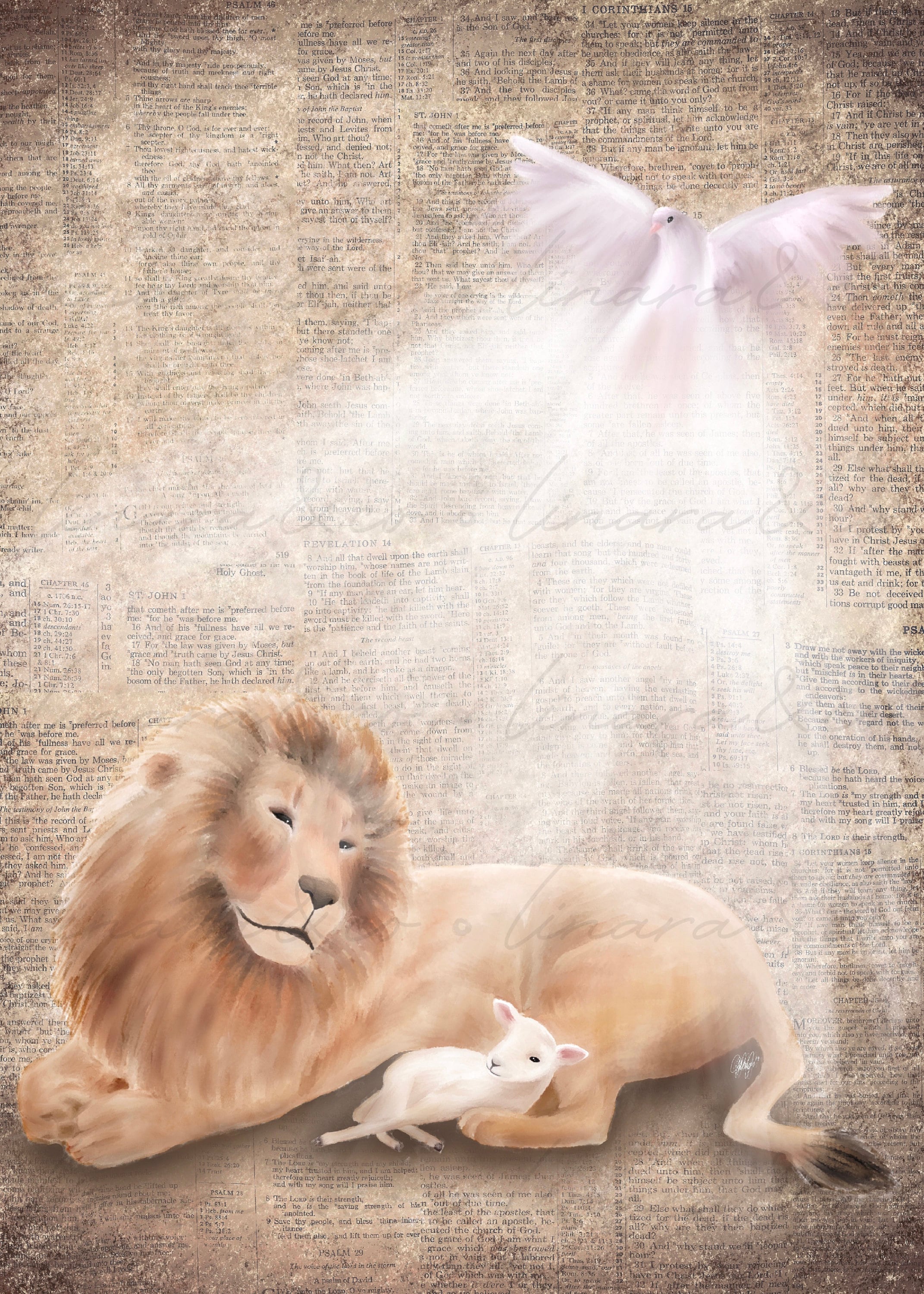 Dove Lion Lamb PRINTABLE Digital Wall Art Print Book Page Etsy