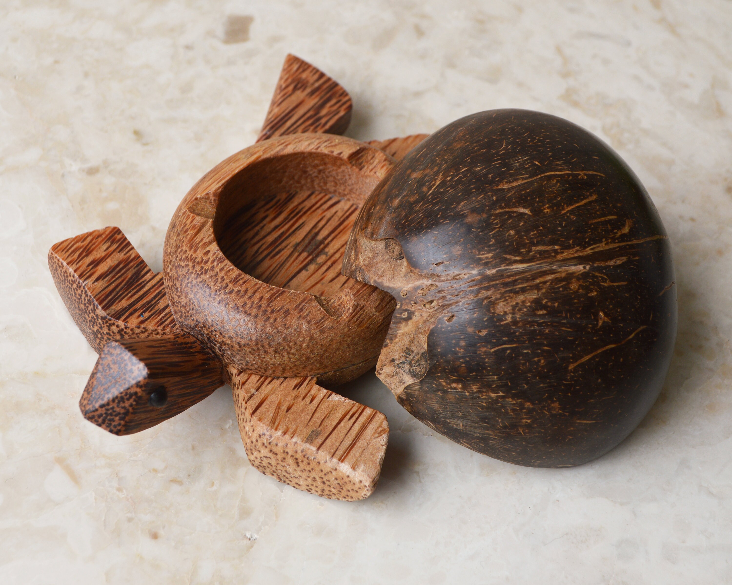 Palmholz Schildkröte mit Kokosnussschale Balinesische | Etsy