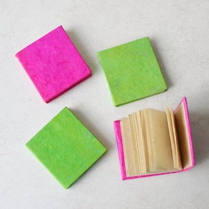 Mini cuaderno • Papel Lokta ecológico hecho a mano • Rosa verde unisex para niños • Precioso regalo para niños y amigos • Papelería de Nepal