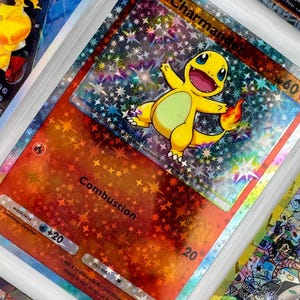 Charmander brillant non officiel TCG Pocket Reliure photo en plastique artistique complet avec insertion de page Holo personnalisé Display Remplacement de la liste de souhaits LIRE LA DESCRIPTION