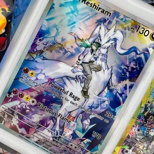 Reshiram Reshiram, classeur en plastique non officiel, insertion de page Holo personnalisé, remplacement de la liste de souhaits LIRE LA DESCRIPTION