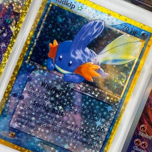 Unofficial Mudkip 107/109 Plastic Picture Binder Page Insert Custom Holo Display Wishlist Replacement READ DESCRIPTION