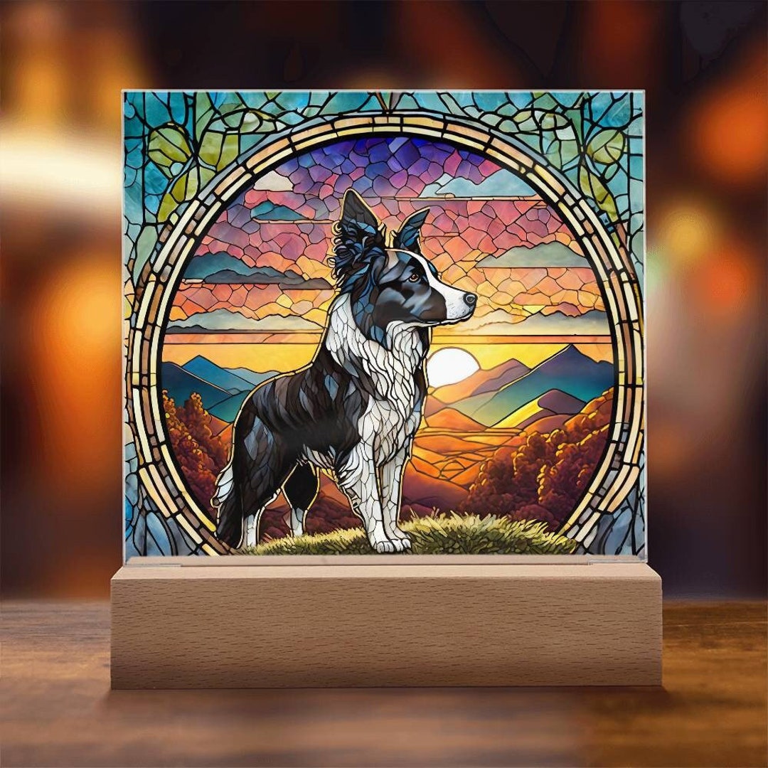 Border Collie Stained Glass Acrylic Plaque Border Collie Nightlight