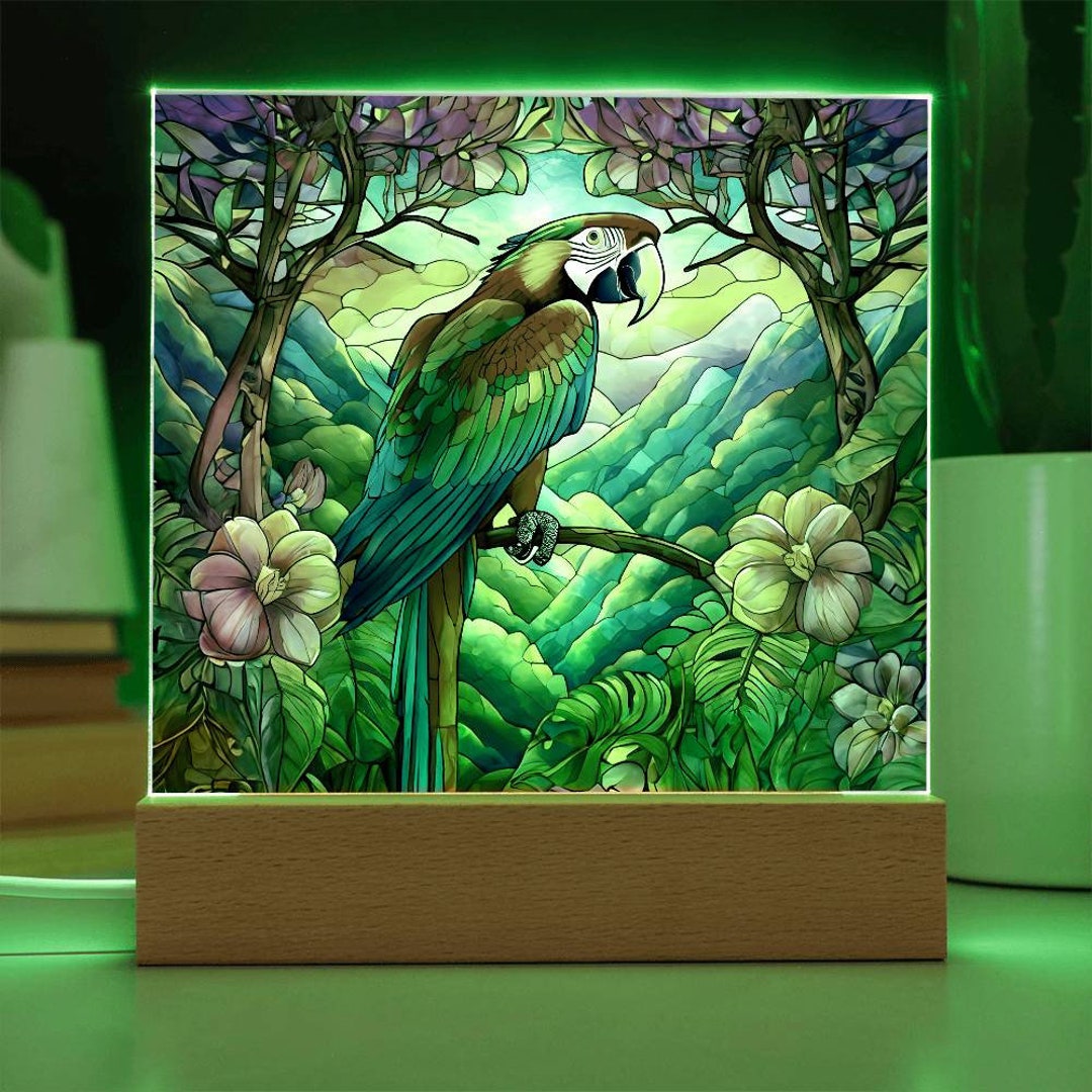 Scarlet Macaw Lamp Vibrant Rainforest Bird Illuminated Acrylic Plaque LED Nightlight Jungle Bird