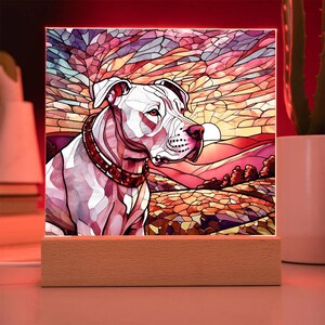 Chien Argentin, Dogo Argentino - Un Collier Avec Un Chien Dans Une Boîte Cadeau, Un Médaillon