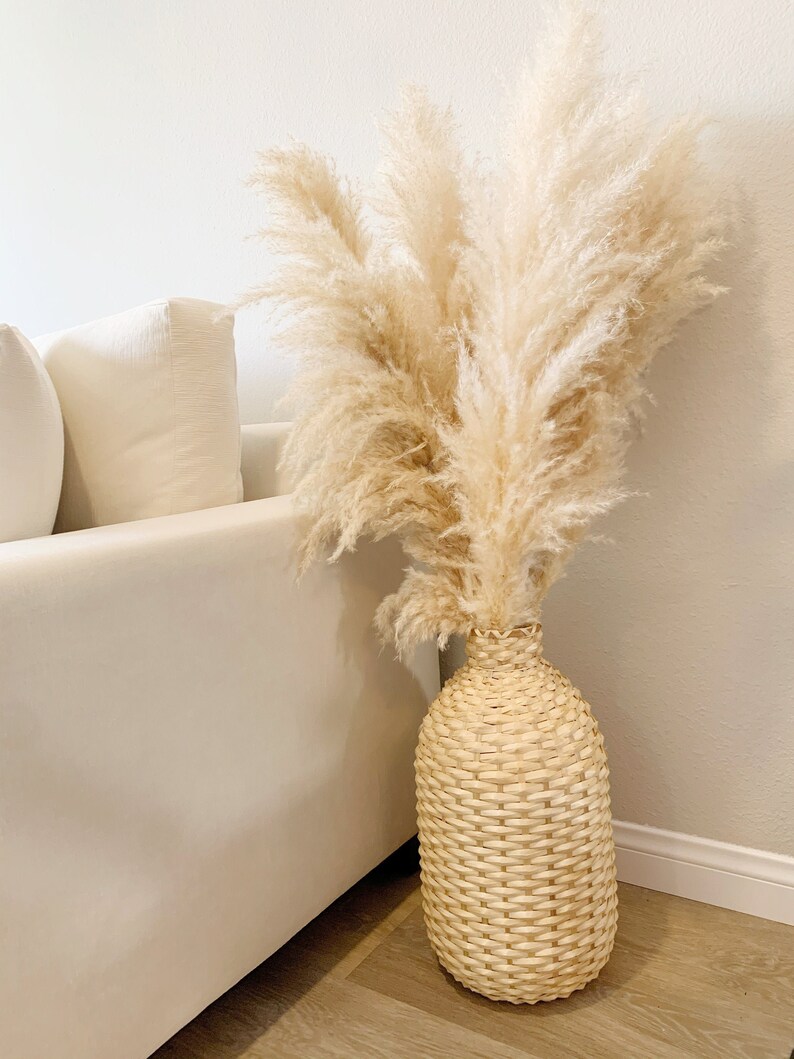 5 CT X-Large Stems of Fluffy Pampas Grass 4FT image 2