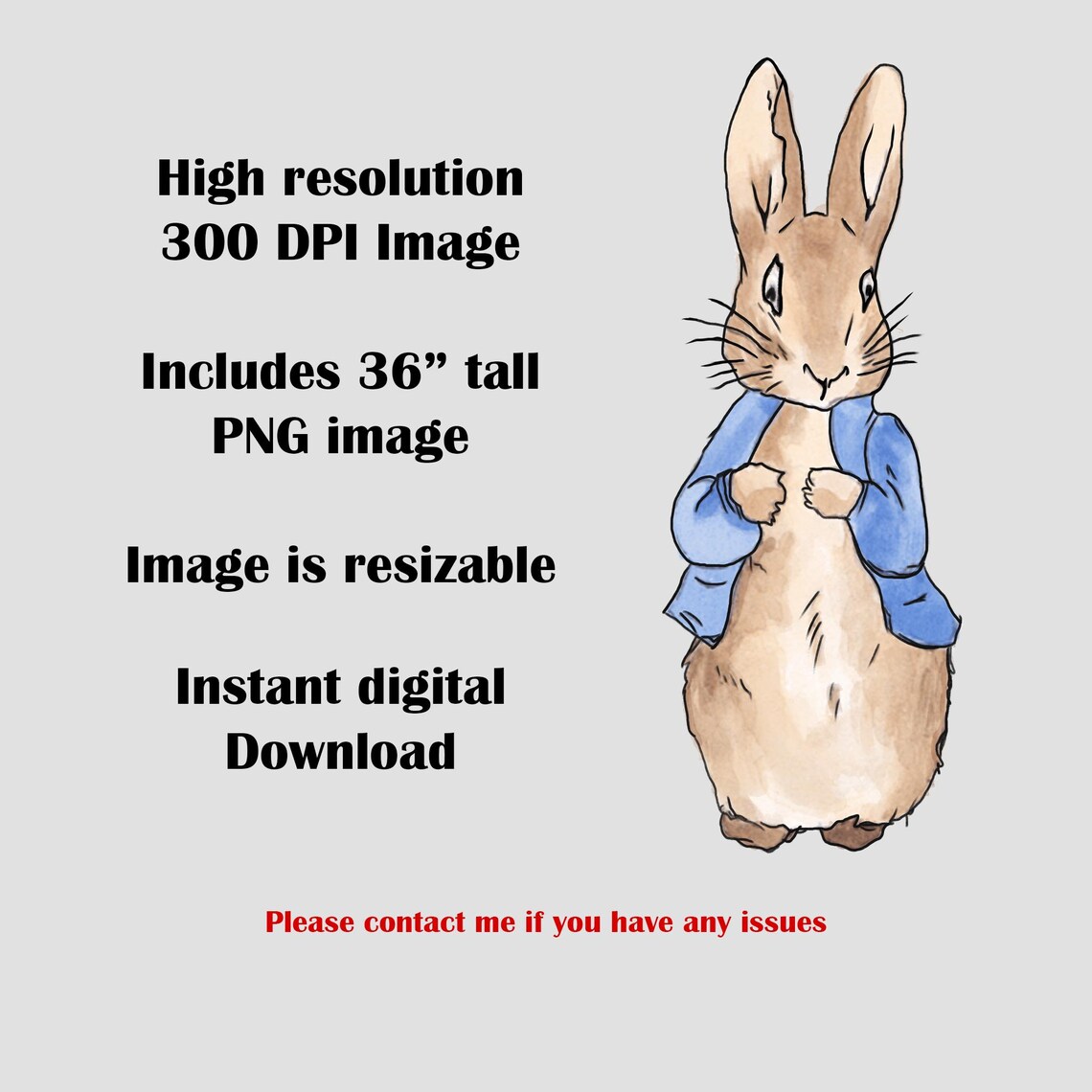 Peter Rabbit Large Printable Cutout Prop, Bunny Rabbit Standee, Instant ...