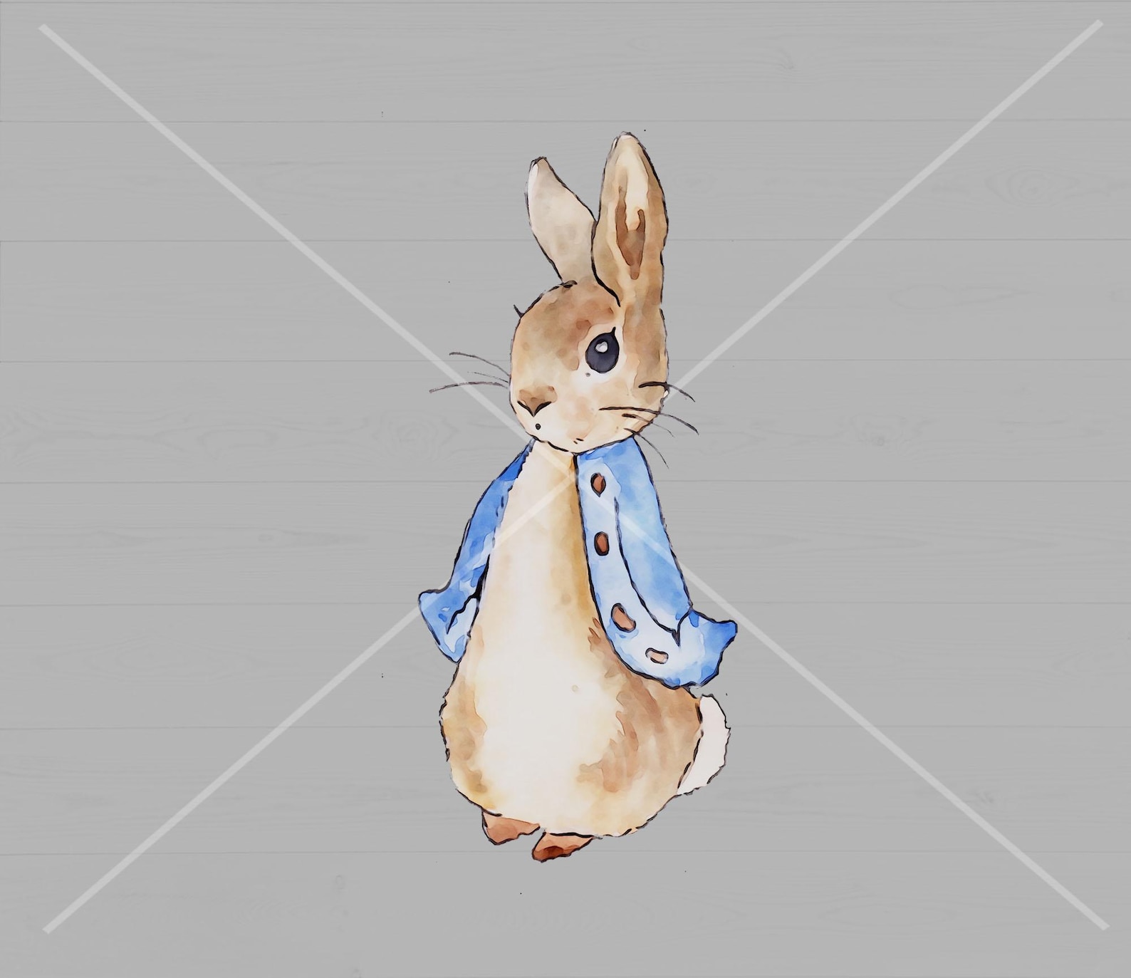 Peter Rabbit Png, Peter Rabbit Clip Art, Instant Digital Download - Etsy