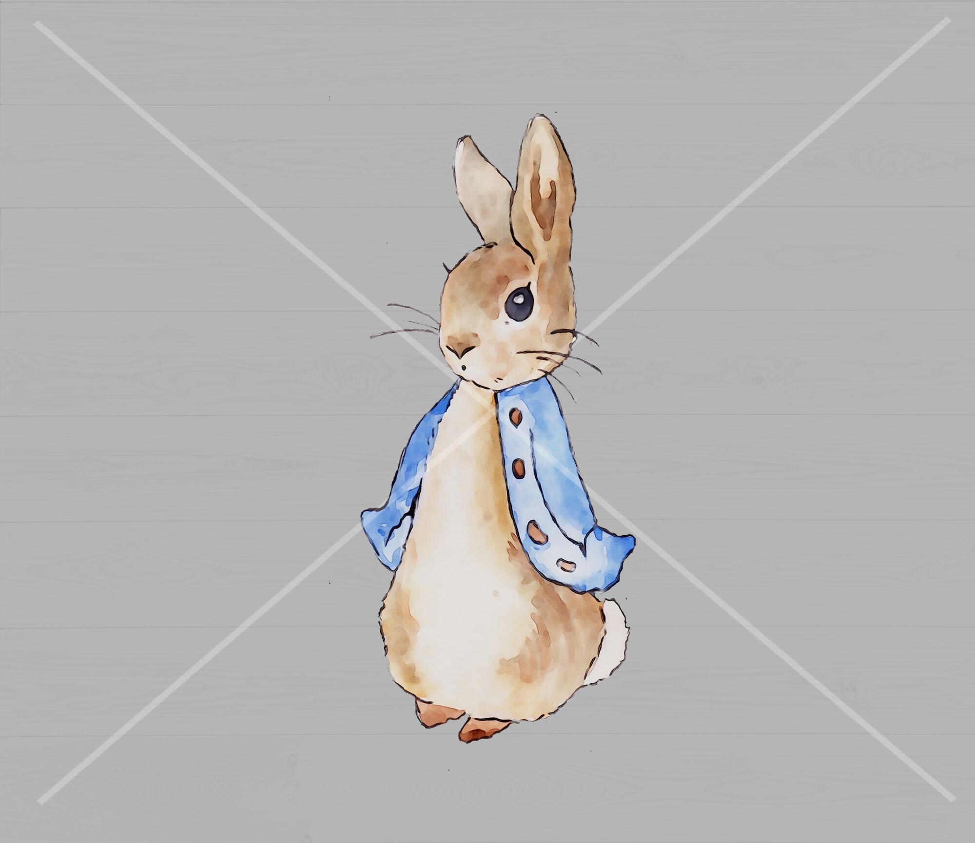 Peter Rabbit Png, Peter Rabbit Clip Art, Instant Digital Download - Etsy