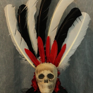 Gothic Fantasy Feathered Headpiece