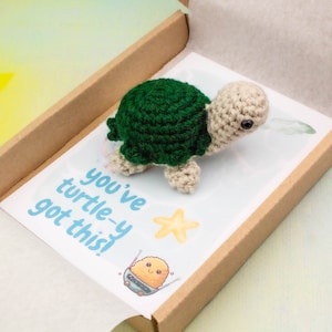 You've Got This, gehaakte amigurumi-schildpad, zakcadeau, opvrolijkcadeau, gepersonaliseerd, leraar cadeau, nieuwe school, nieuwe baan, geen zorgen, nieuw huis