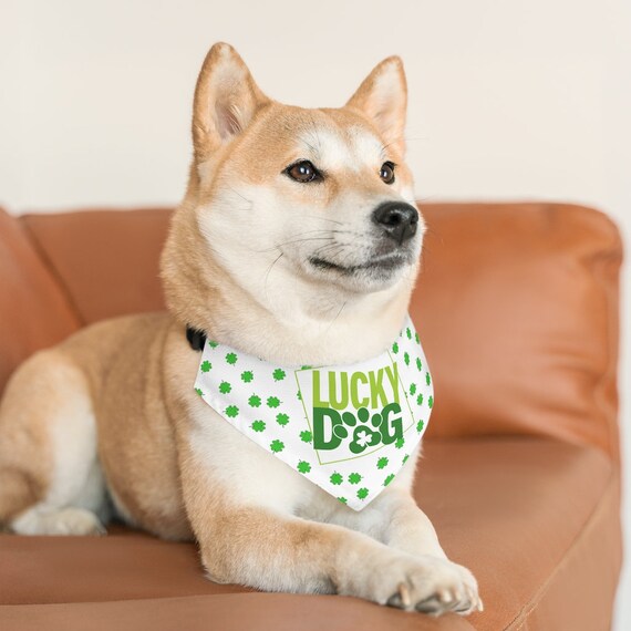 Four leaf clover dog cheap collar