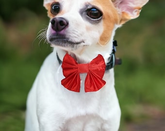 Red Satin Over Collar Sailor Bow Pet Bow Tie