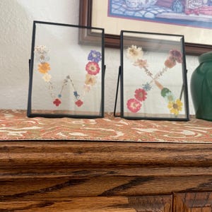 Pressed flowers framed