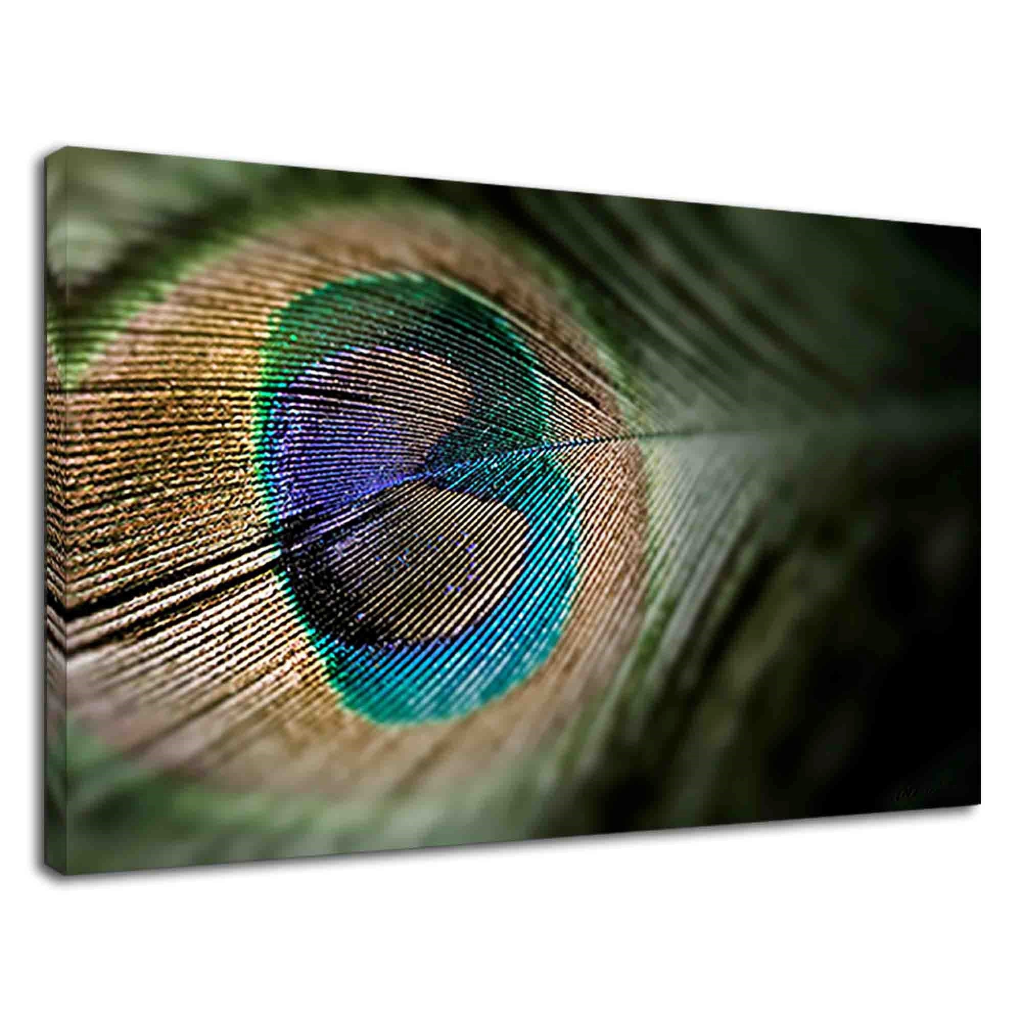 Amazing Colour Of Peacock Feather For Living Room Canvas Print | Etsy