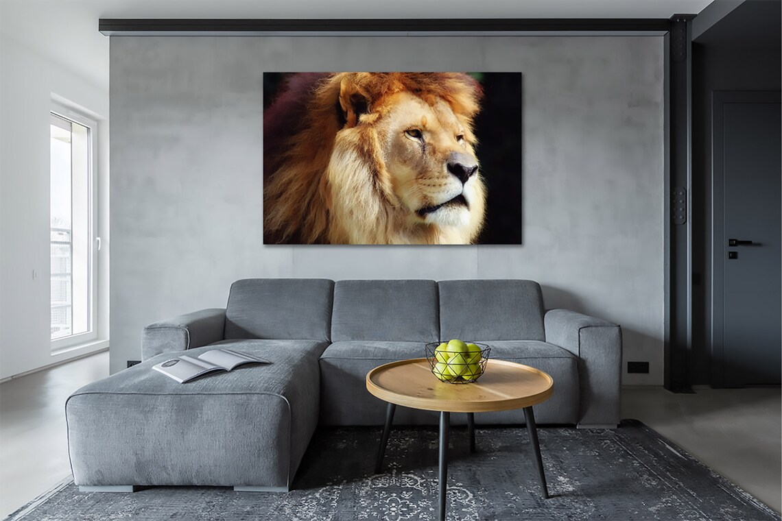Wise Lion Face Bedroom Living Room Wildlife Photo Canvas Print Etsy