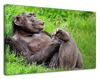 Funny Chimpanzee Etsy