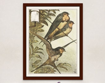 Vintage Bird Art | Minimalist Farmhouse Décor ǀ Printable painting ǀ Wall Art