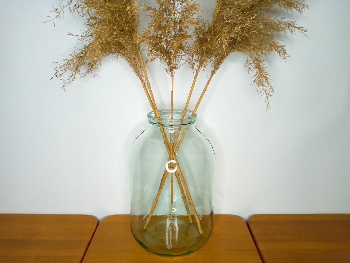 Large Vintage Bud Clear Glass Pampas Grass Vase Etsy