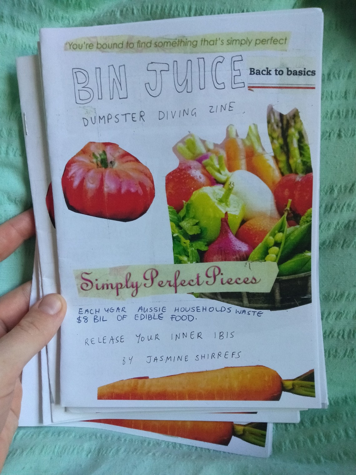 Bin Juice Dumpster Diving Zine Etsy UK