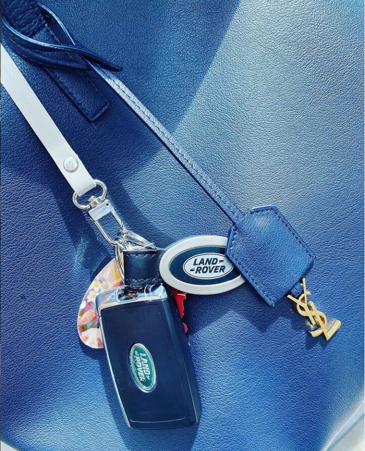 Wired Butterfly Key Hook, Handbag Keys Hanger Clip, Alexx Finders Key Purse  Gift