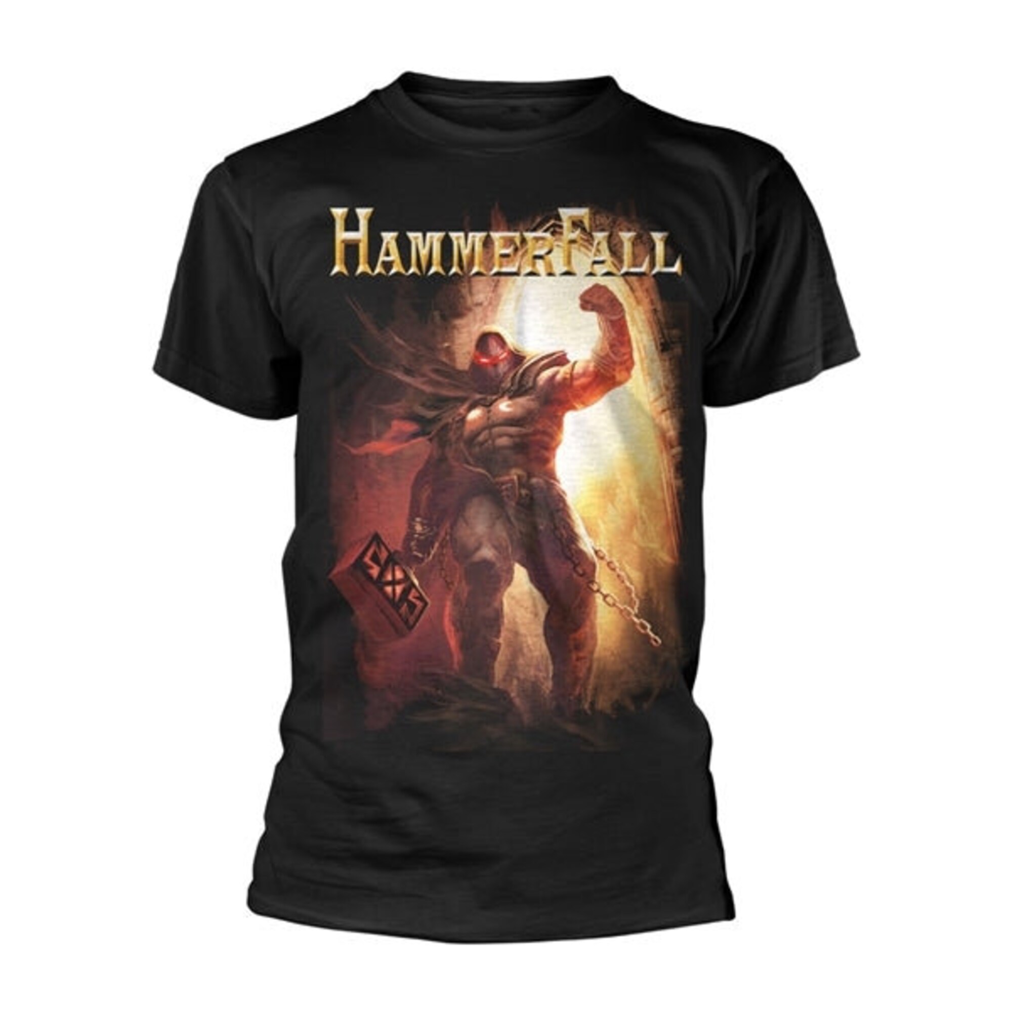 Hammerfall T Shirt - Dethrone And Defy