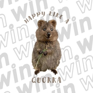 Quokka sticker, gelukkig als een Quokka glimlach, schattige Australische dierensticker, Quokka cadeau voor dierenliefhebbers, Quokka sticker