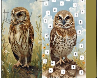 Eule Umschlag Einsparungen Herausforderung-Set von 6-Natur Serie