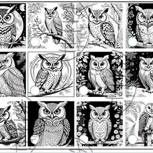 Owl Roll and Save Coloring Challenge