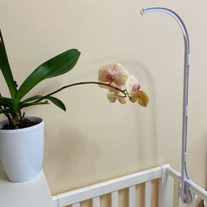 May include: White metal baby crib mobile arm with a hook at the top and a base that attaches to the crib. The arm is curved and extends over the crib. A potted orchid plant with light pink and yellow flowers is in the background.