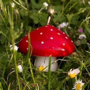 May include: A red and white spotted mushroom shaped candle sits in a bed of green grass and white flowers.