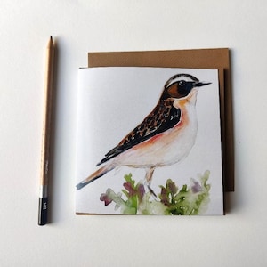 Wheatear-Bird Greetings Card-Karty z ptakami-Karty przyrodnicze-Wydruk artystyczny z ptakami-Ilustracje z ptakami-Pakiety kartek świątecznych-Pakiet kartek świątecznych z ptakami