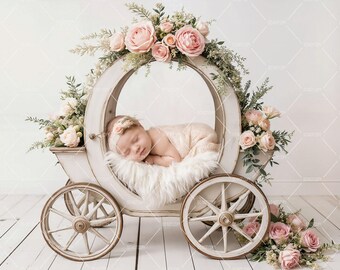 Newborn Photography Digital Backdrop, Baby Princess Carriage Floral Background, Fairytale Digital Prop, Pink Roses Photography Backdrop
