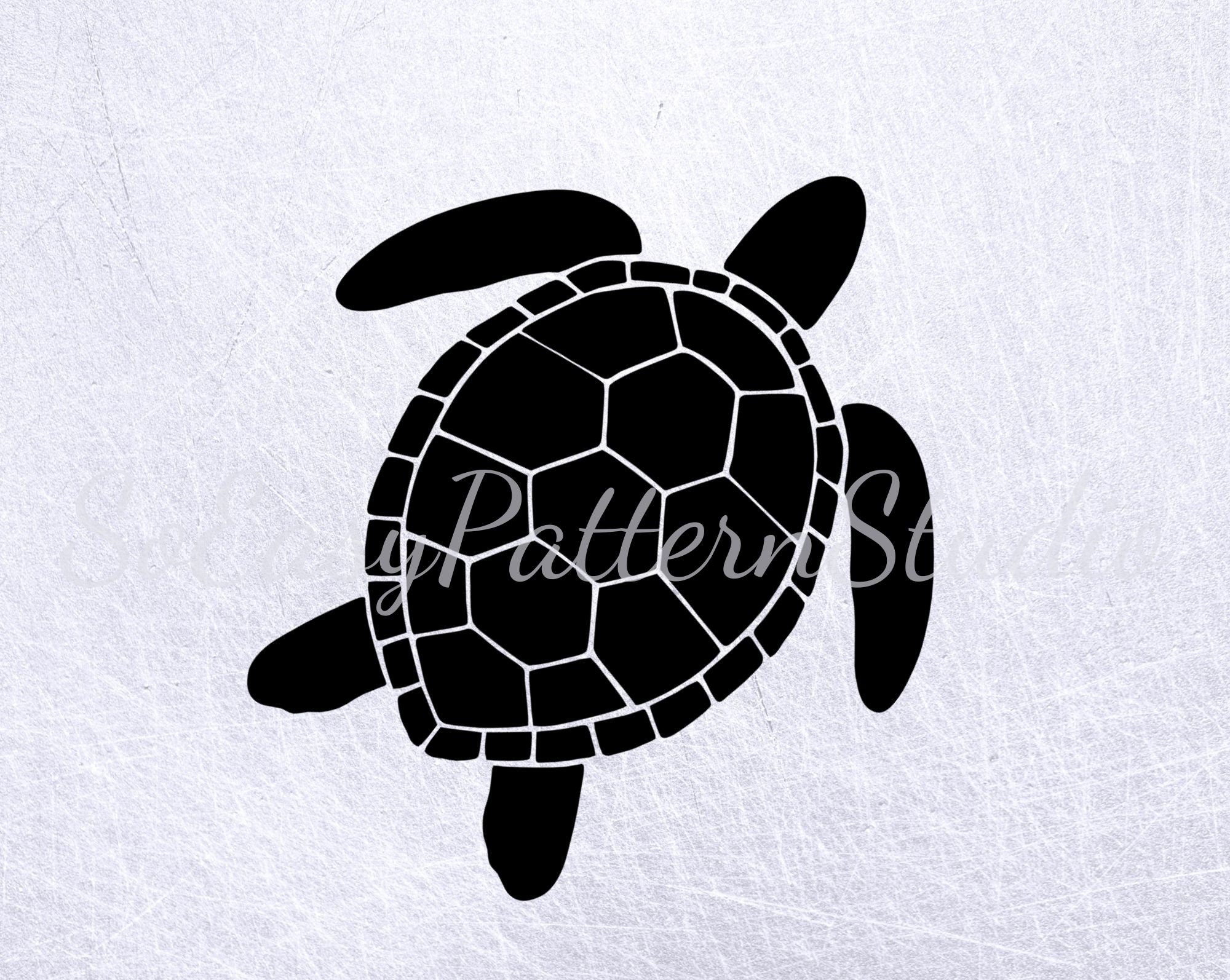 Turtle Svg Reptiles Svg Sea Turtle SVG Summer Svg Cricut - Etsy