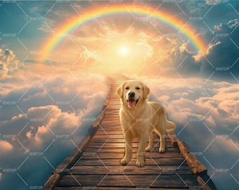 Rainbow Bridge Digital Backdrop, Pets Memorial Background, Pet Loss Photography Background, Way to Heaven Sympathy Digital Download