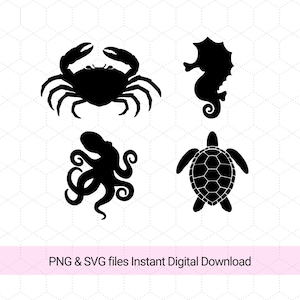 SET 4 Sea Nautical Animals Svg, Png, Turtle, Octopus, Sea Horse, Reptiles svg, Summer Svg, Ocean Nursery