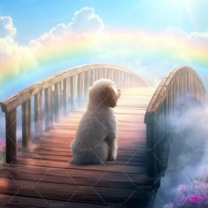 Op de afbeelding: Een witte hond zit op een houten brug die naar een regenboog in de wolken leidt. De brug is omgeven door mist en bloemen.